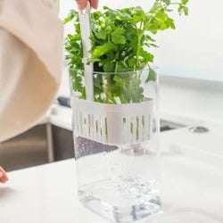 Organizador Pote para Temperos Frescos 2,3 Litros