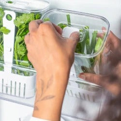 Organizador Pote para Temperos Frescos 2,3 Litros