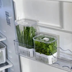 Organizador Pote para Temperos Frescos 2,3 Litros